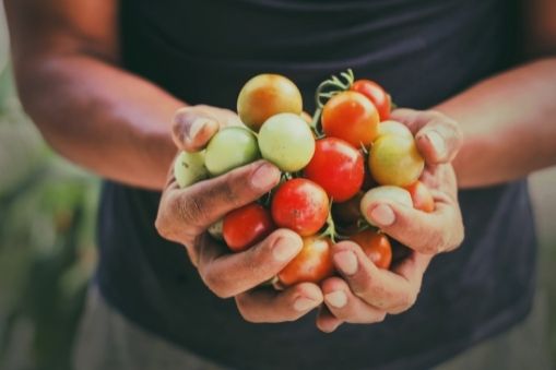 Aprende seguridad agroalimentaria